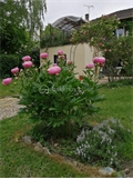 Image du bien UBI469149641